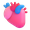 anatomical heart